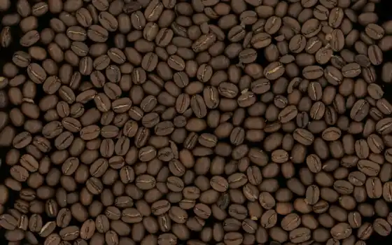 обои, кофе, зерно, фото, макро, зерна, текстуры, з